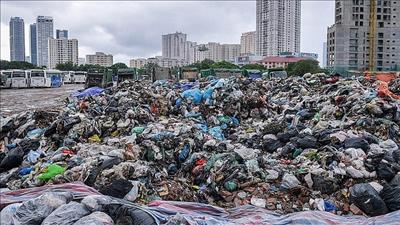 WWF hỗ trợ Việt Nam giảm rác thải nhựa đô thị