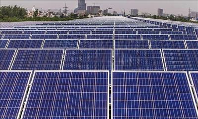 IEA: Điện mặt trời sẽ là 'vua mới' trên thị trường