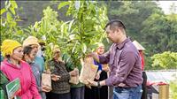 Tích cực hoàn thành mục tiêu trồng 1 triệu cây “Vì một Việt Nam xanh”