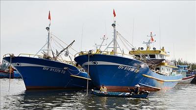 Bà Rịa – Vũng Tàu nâng cấp tàu cá, xây dựng ngư trường bền vững