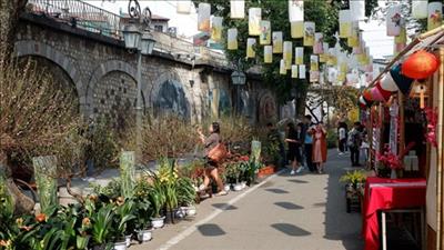 Tổ chức nhiều hoạt động văn hóa chủ đề “Tết Việt - Tết phố 2024” tại Hà Nội
