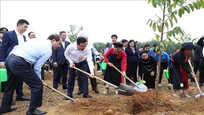 Phát động Tết trồng cây “Đời đời nhớ ơn Bác Hồ” năm 2024 tại Tuyên Quang