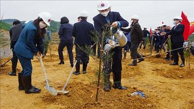 Tổng Liên đoàn lao động Việt Nam phát động Tết trồng cây