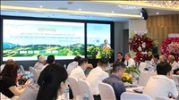 Thúc đẩy giải pháp tối ưu hóa nguồn lực và quản trị dự án năng lượng sạch