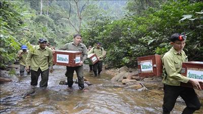 Tổ chức Hoa Kỳ tôn vinh nhà bảo tồn động vật hoang dã Việt Nam