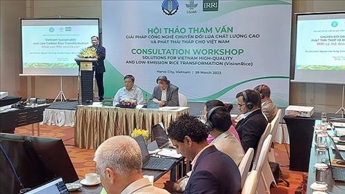 Phát triển bền vững lúa chất lượng cao và phát thải thấp ở Việt Nam