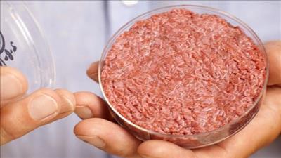 Thịt nhân tạo giúp giảm phát thải CO2 trong nông nghiệp