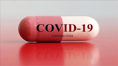 Việt Nam tiếp tục điều chế thành công hợp chất mới trong thuốc điều trị Covid-19