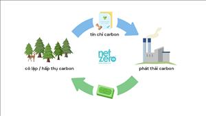 Ngân hàng quốc tế phối hợp xây dựng thị trường tín chỉ carbon tại Việt Nam
