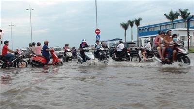 TP Hồ Chí Minh: Thí điểm cảnh báo ngập lụt bằng công nghệ cảm biến
