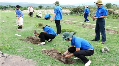 Bình Thuận: Nhân rộng các mô hình trồng cây xanh
