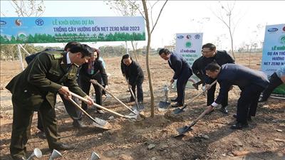 Khởi động dự án Trồng cây hướng tới phát thải ròng bằng “0”