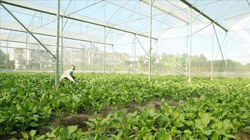 Để ngành nông nghiệp Việt Nam xanh hóa và thân thiện với môi trường