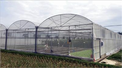 Tiền Giang: Mô hình HTX sản xuất nông nghiệp công nghệ cao 