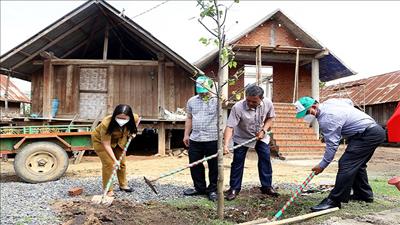 Đắk Lắk: Vận động người dân tham gia trồng, chăm sóc, bảo vệ và phát triển rừng