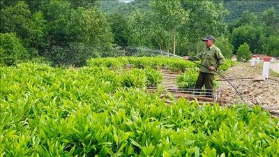 Hướng đến nông nghiệp sạch, bền vững ở Phú Yên