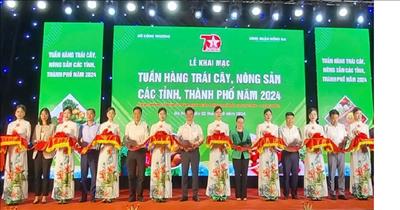 Kết nối tiêu thụ nông sản, trái cây đặc sản vùng miền