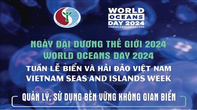 Tổ chức các hoạt động góp phần bảo vệ, phát triển bền vững tài nguyên biển, đảo