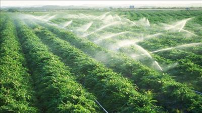 Phát triển công nghệ tưới tiên tiến, tiết kiệm nước trong nông nghiệp