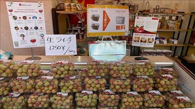 Đẩy mạnh xuất khẩu trái vải tươi sang thị trường Nhật Bản