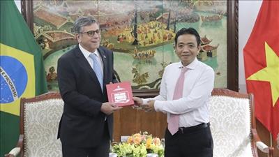 Thúc đẩy hợp tác văn hóa, thể thao song phương Việt Nam - Brazil
