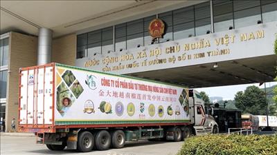 Trung Quốc sẵn sàng mở rộng nhập khẩu nông sản chất lượng cao của Việt Nam