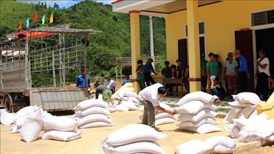 Xuất cấp gạo cho nhiều tỉnh nhân dịp Tết Nguyên đán Nhâm Dần 2022
