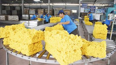 Xuất khẩu nông, lâm, thủy sản Việt Nam tăng mạnh