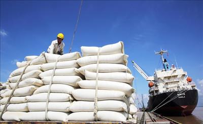 Hơn 136.000 tấn gạo dự trữ được xuất cấp hỗ trợ người dân gặp khó khăn do dịch