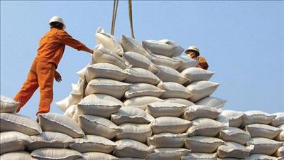 Bộ Nông nghiệp Mỹ dự báo Việt Nam tiếp tục đứng thứ hai về xuất khẩu gạo