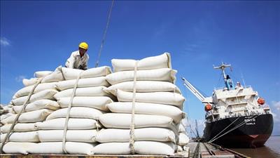 Dự báo hoạt động xuất khẩu gạo Việt Nam phát triển ổn định