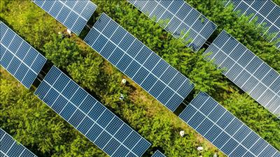 Rystad Energy: Nhu cầu điện toàn cầu có thể tăng 30% trong 10 năm tới