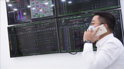 Danh mục cổ phiếu cần quan tâm ngày 18/11