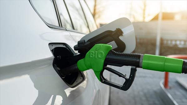 Bảo đảm tính khả thi trong triển khai lộ trình sản xuất, phối trộn, phân phối, sử dụng nhiên liệu sinh học