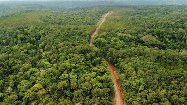 Hướng tới vận hành thị trường carbon minh bạch và hội nhập quốc tế