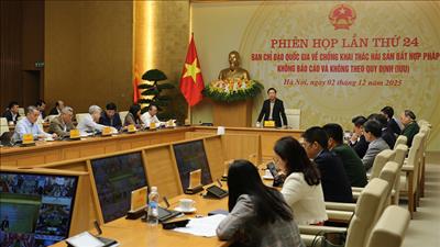 Hoàn thiện hệ thống dữ liệu, xử lý dứt điểm các vi phạm IUU