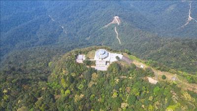 Quốc tế quan tâm đến thu mua tín chỉ carbon rừng Việt Nam