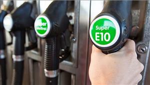 Phổ biến lộ trình áp dụng tỷ lệ phối trộn nhiên liệu sinh học với nhiên liệu truyền thống