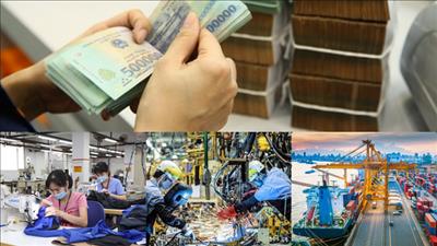 Ban hành quy chế hoạt động của Ban chỉ đạo của Chính phủ về quản lý, điều hành kinh tế vĩ mô