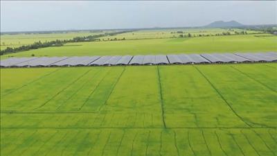 Thủ tướng đề nghị IFAD hỗ trợ Việt Nam phát triển thị trường tín chỉ carbon
