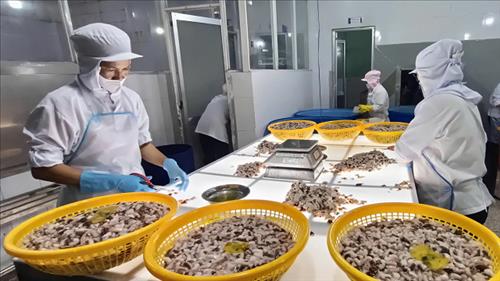 Bảo đảm sản xuất, tiêu thụ, xuất khẩu nông lâm thủy sản trong bối cảnh biến động thương mại toàn cầu