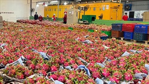 Thúc đẩy thương mại mặt hàng nông - lâm - thủy sản giữa Việt Nam và Hoa Kỳ