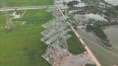 Hoàn thành giai đoạn 1 thi công đoạn tuyến đi chung 6 mạch của dự án đường dây 500/220kV Nho Quan – Phủ Lý – Thường Tín