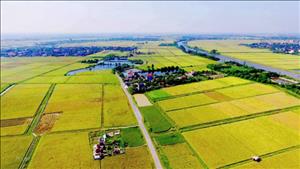 Đề xuất kéo dài thời gian miễn thuế sử dụng đất nông nghiệp đến hết năm 2030