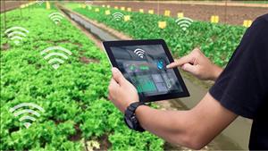 Tổ chức chuỗi hoạt động mừng Ngày Khoa học và Công nghệ Việt Nam năm 2025