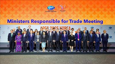 Thông qua Tuyên bố chung của các Bộ trưởng Thương mại APEC