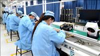 Xây dựng Kế hoạch phát triển kinh tế - xã hội năm 2026 bảo đảm mục tiêu tăng trưởng hai con số