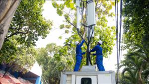 Ban hành danh mục thị trường dịch vụ viễn thông Nhà nước quản lý