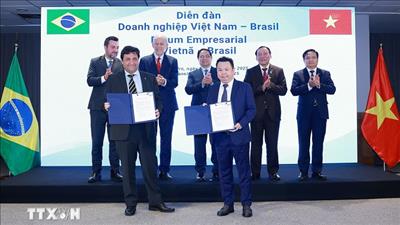 Đối tác chiến lược Việt Nam - Brazil: 