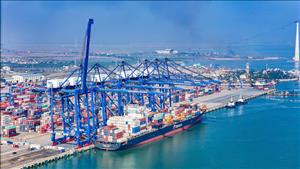 Chấp thuận chủ trương đầu tư xây dựng 4 bến cảng container mới tại Hải Phòng
